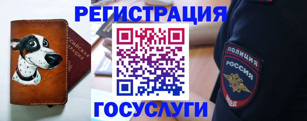 временная регистрация в квартире в Белокурихе